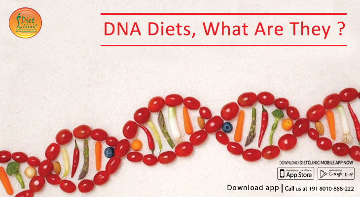 DNA Diets, what are they?