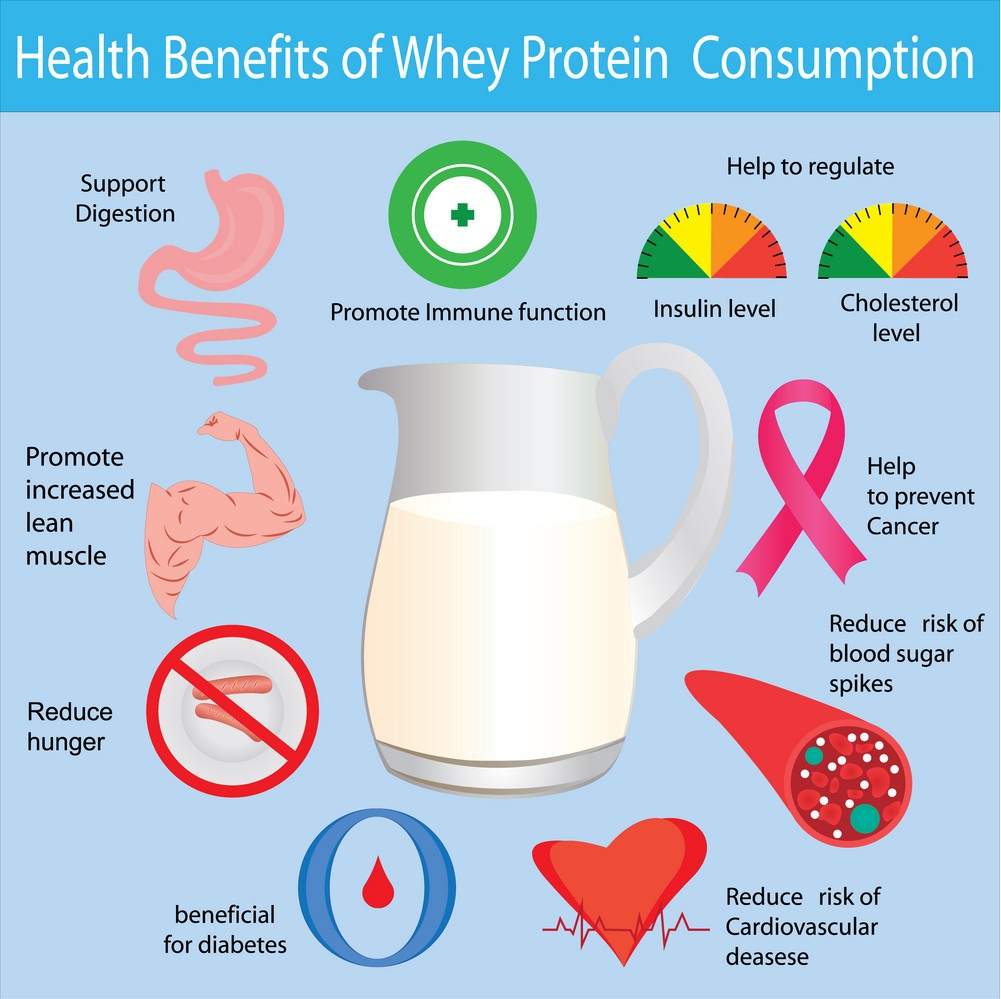 Whey Protein Health Benefits
