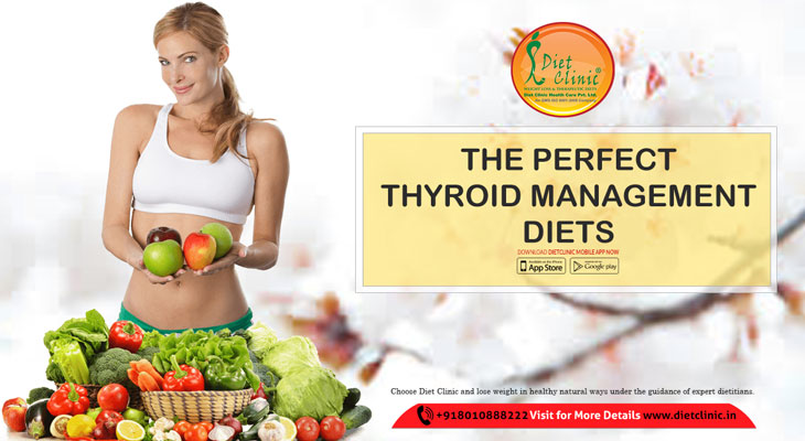 the perfect thyroid management diets