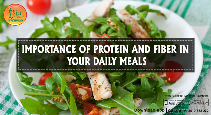 Importance of protein and fiber in your daily meals