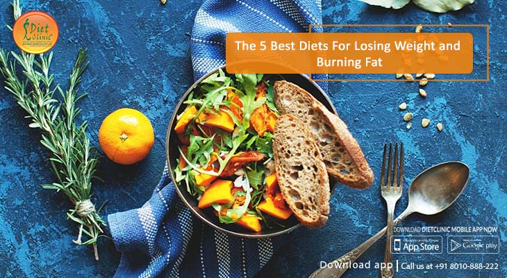 The 5 Best Diets For Losing Weight and Burning Fat.