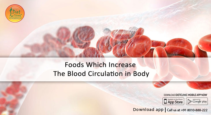 Foods which increase the blood circulation in body.