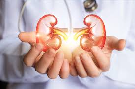 Diet Tips For Kidney Stones