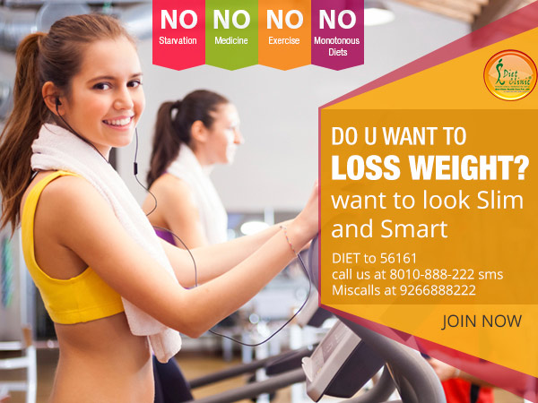  Celebrity Diets Plan In Chandigarh