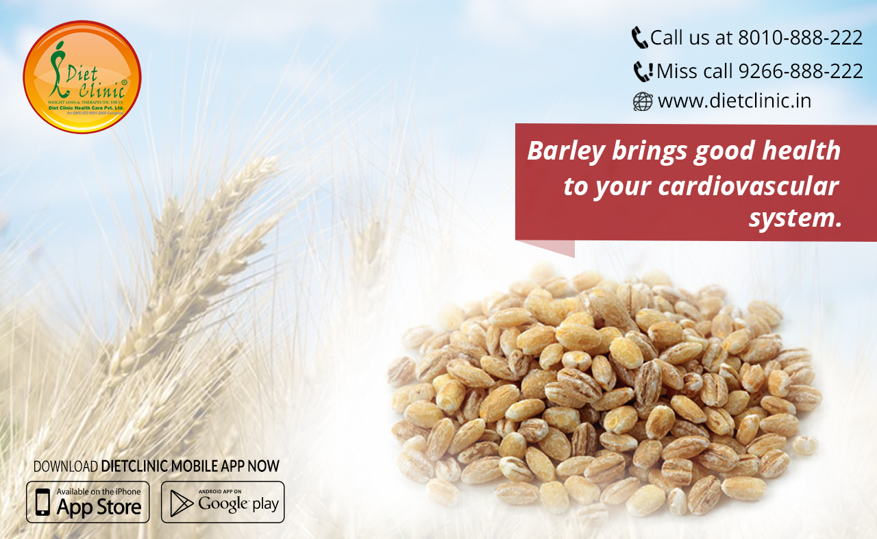 Barley brings good health to your cardiovascular system