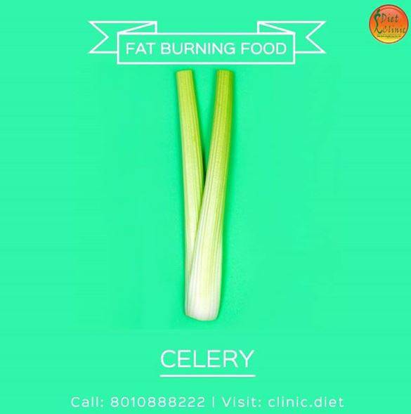 Fat Burning Food Celery