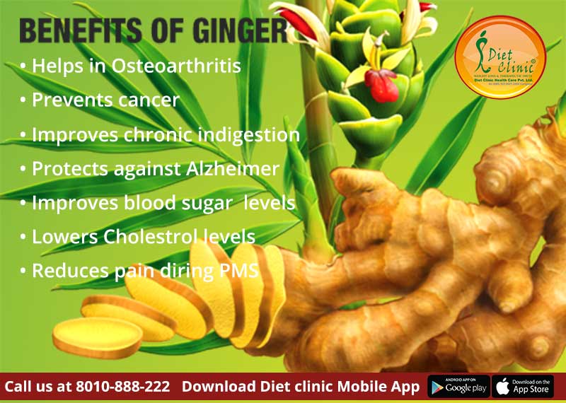 Ginger