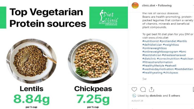 Vegetarian Protein Sources