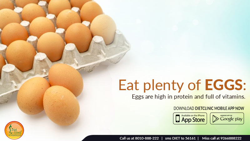 High Protein Diets