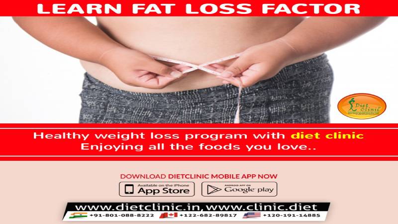 Important factors for fat loss