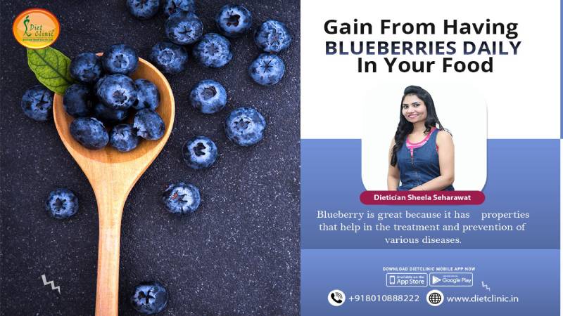 Blueberry fruits